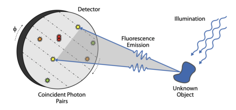 Zum Artikel "Imaging Trapped Ion Structures via Fluorescence Cross-Correlation Detection published in Phys. Rev. Lett."