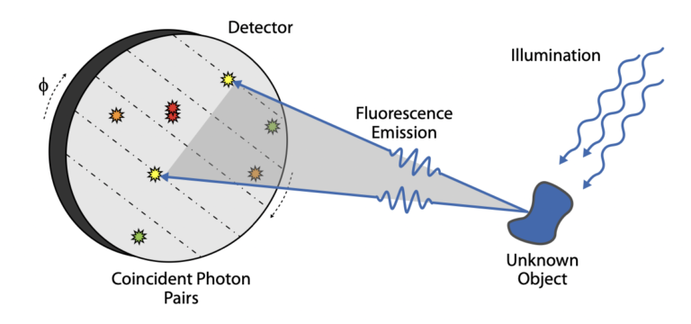 Imaging Trapped Ion Structures via Fluorescence Cross-Correlation Detection published in Phys. Rev. Lett.
