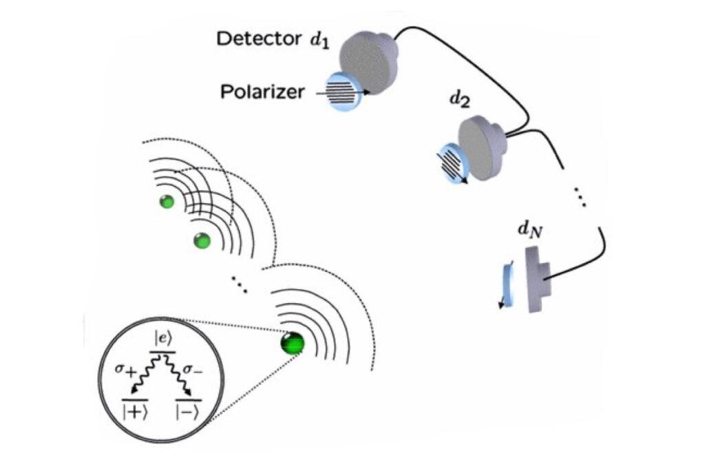 State engineering of light and matter
